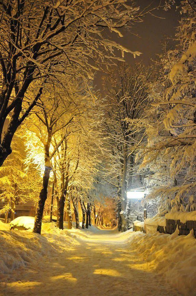 Willa Zlocien Zakopane Exterior photo