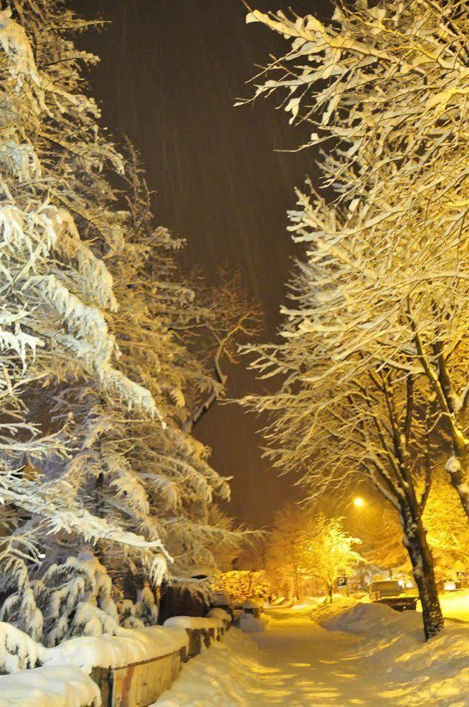 Willa Zlocien Zakopane Exterior photo