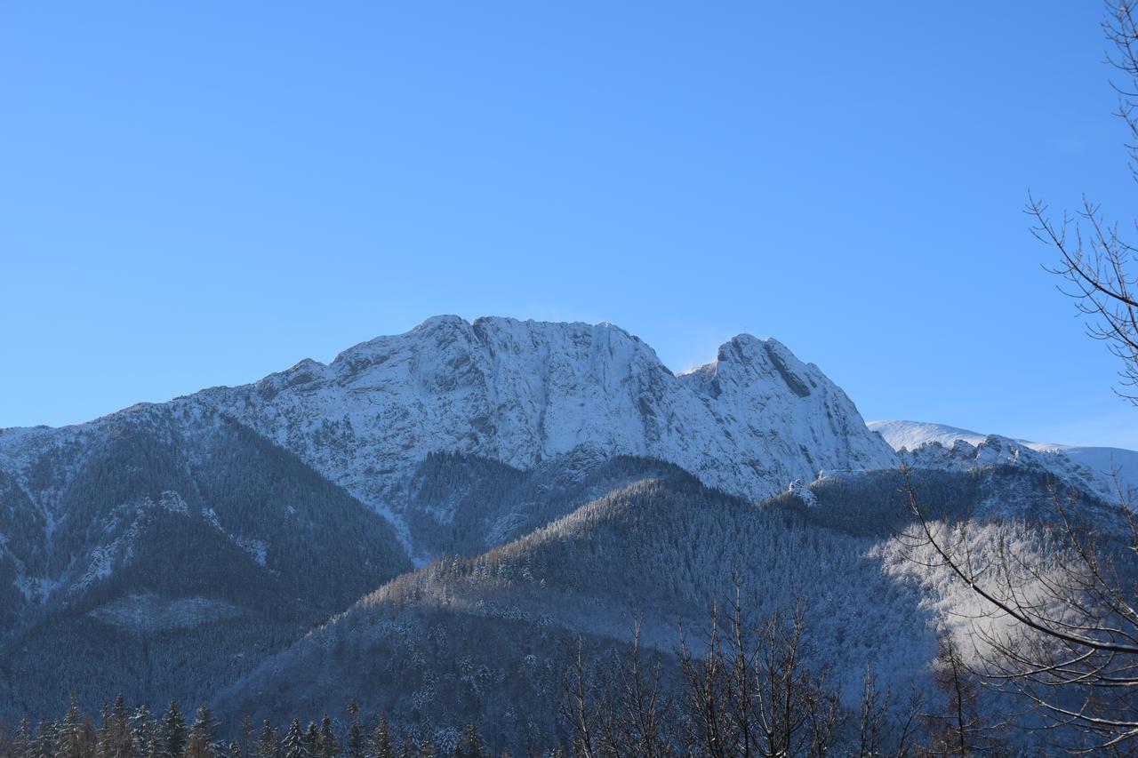 Willa Zlocien Zakopane Exterior photo